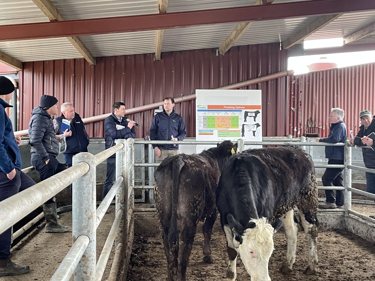 Have in-spec bonus beef price rates become outdated?