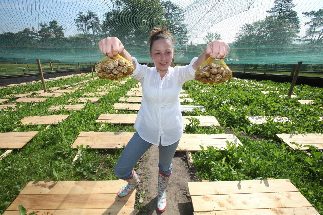 South East Women in Farming think big on small acreage enterprise