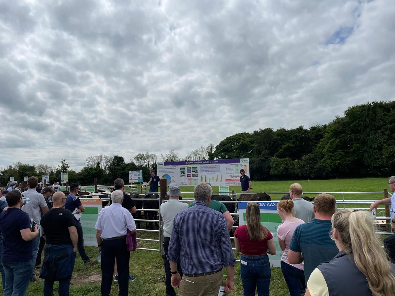 BEEF2024: Over €1,300/ha net profit from dairy-beef possible