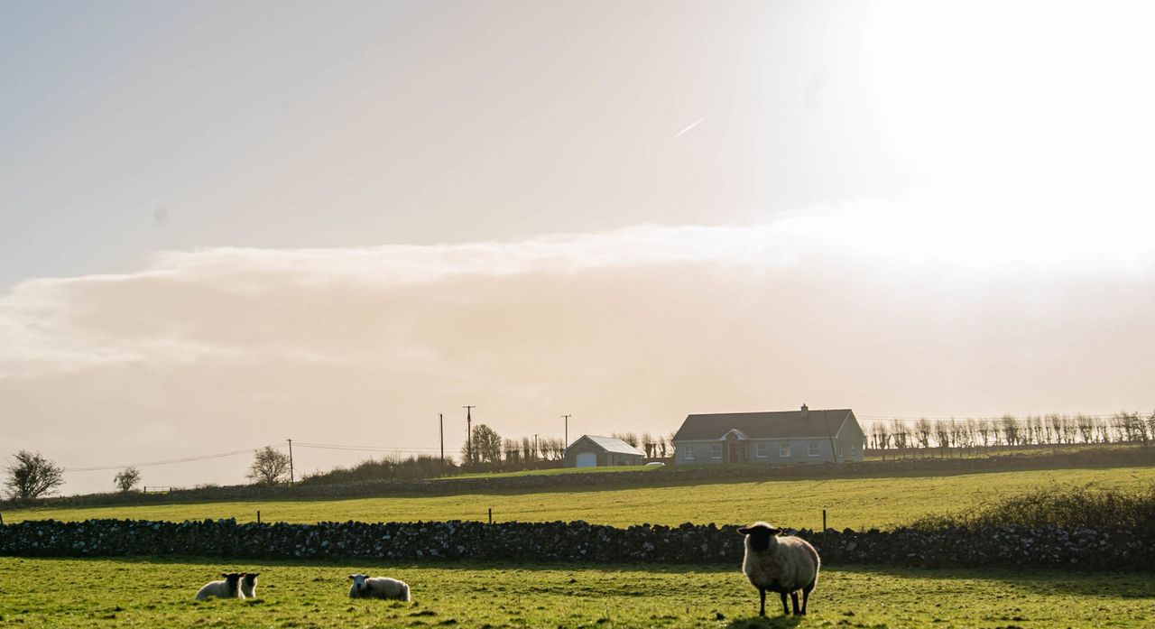 Planning refusals 'pushing out' gaeilgeoirs out of family land
