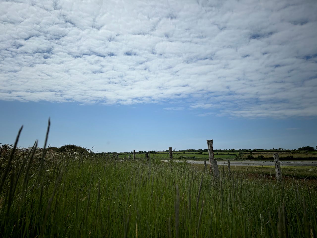 Claims for €50/ha late meadow bonus can be made for ACRES applicants