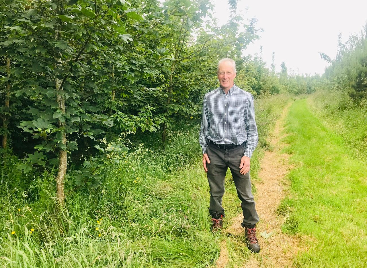 Cows to conifers: 'Food is not the priority - I'm farming for air'
