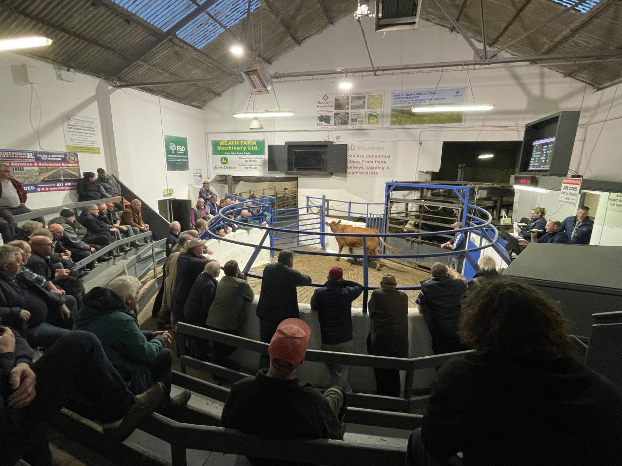 Full house and strong trade at Carnaross Mart weanling sale