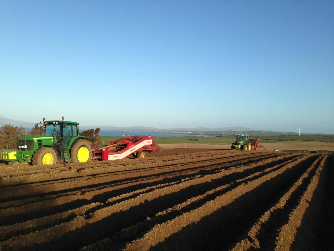 Agri-food Brexit impact: 'Even printer ink was taking 6 weeks'