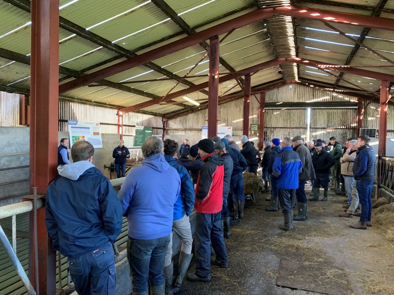 Useful tips for beef farmers at ABP farm walk in Cavan