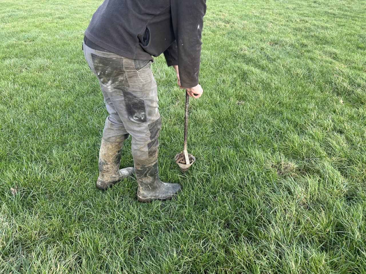 Is soil fertility on farms holding back growth rates?