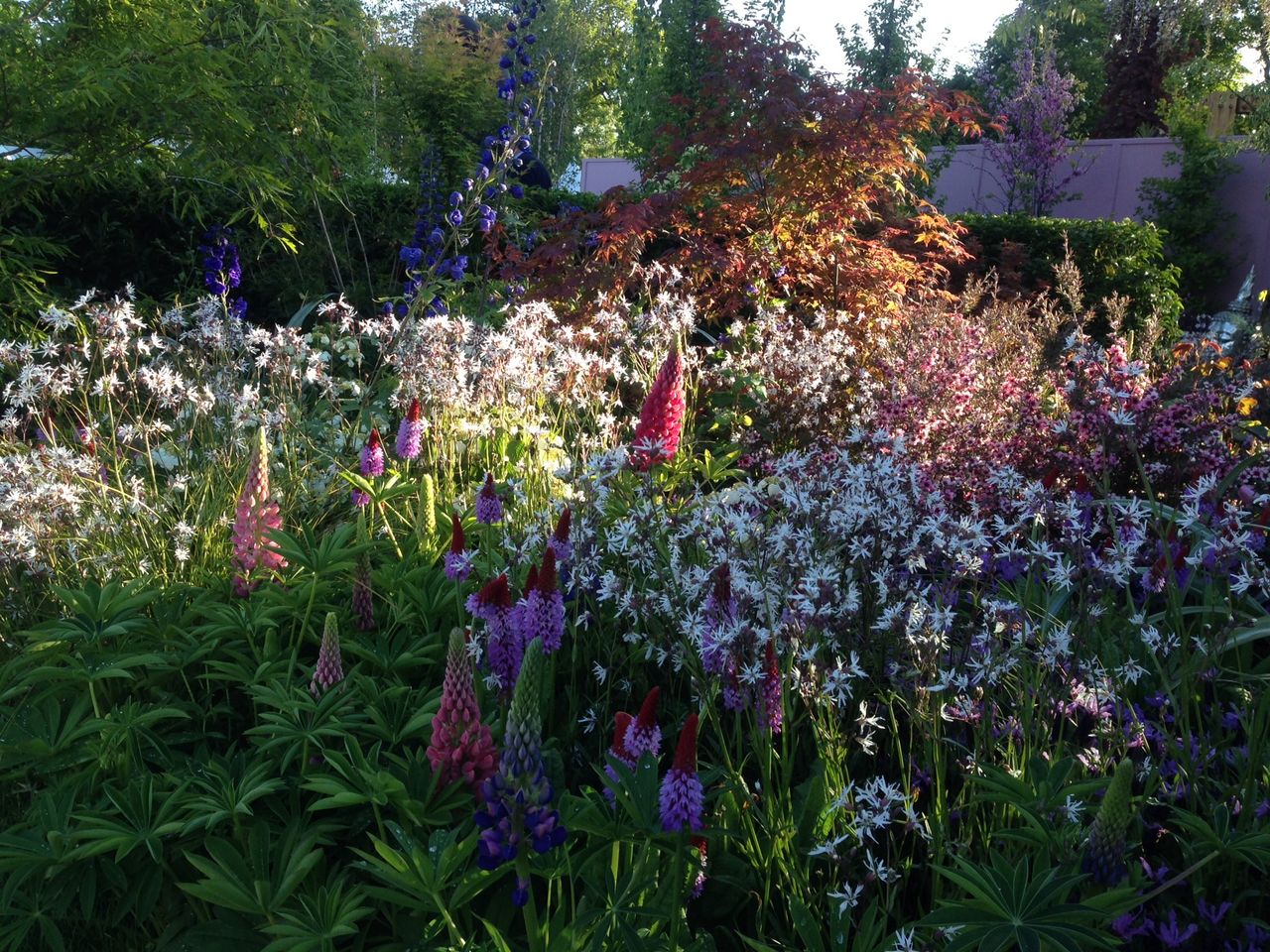 Bord Bia announces cancellation of outdoor Bloom festival in Phoenix Park