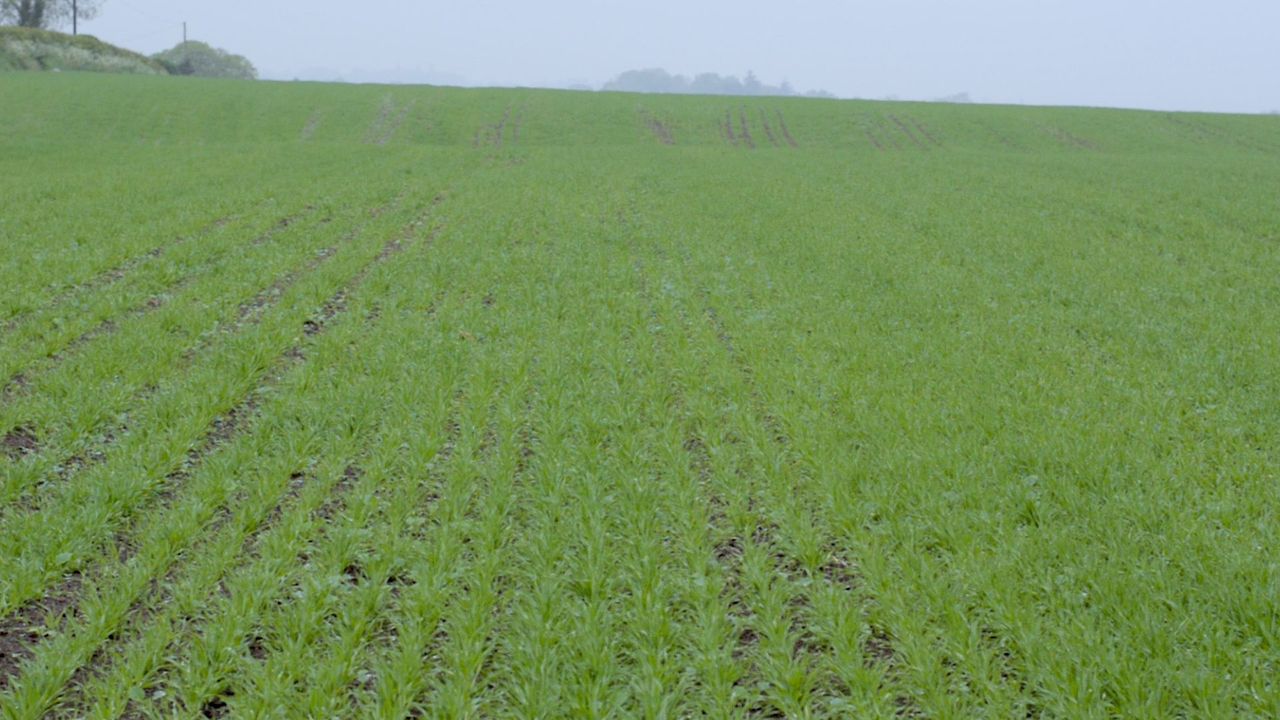 January signals the start of tillage events for spring planning