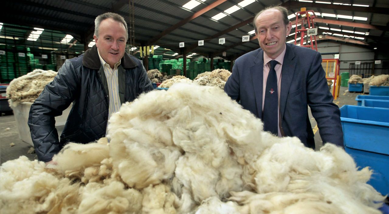 Market diversification: Are natural wool carpets the next niche?