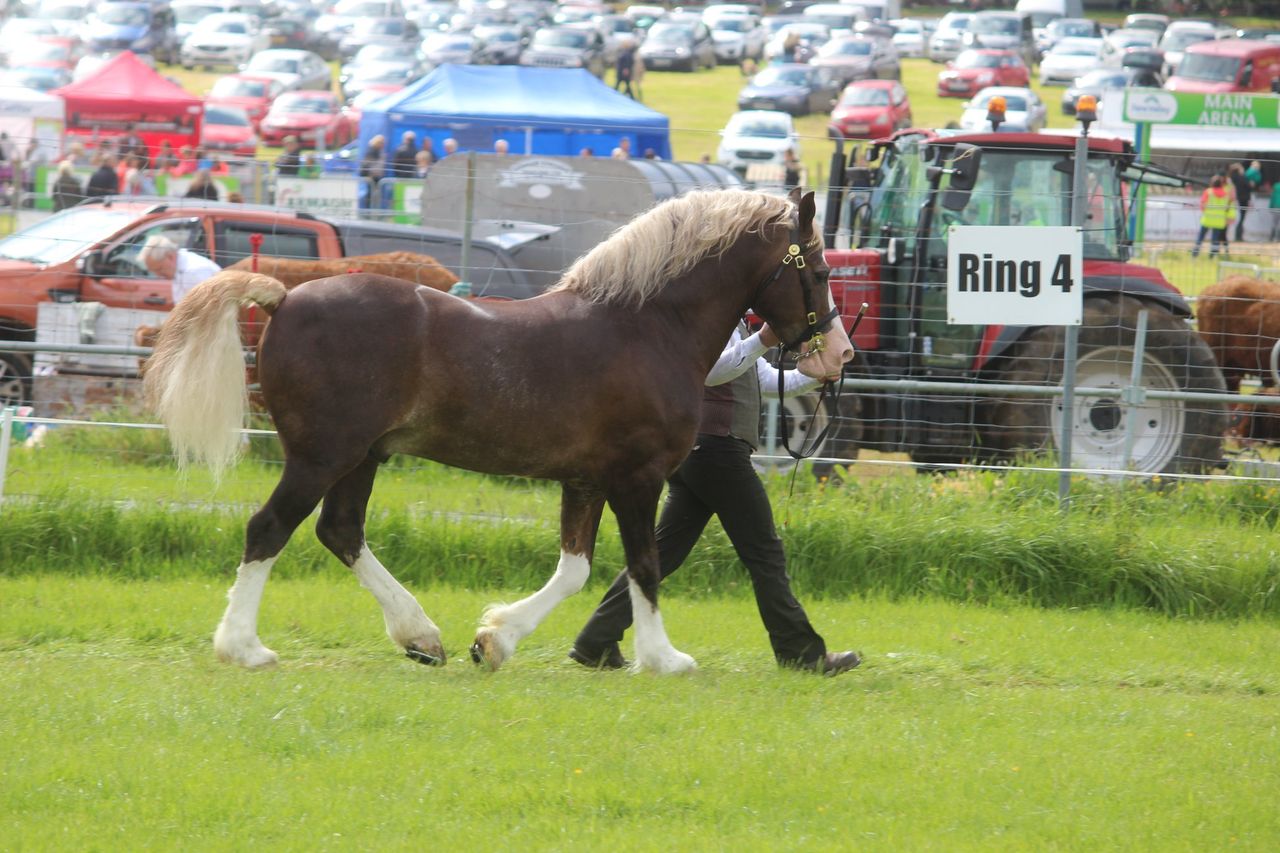 Armagh County Agricultural Show cancelled