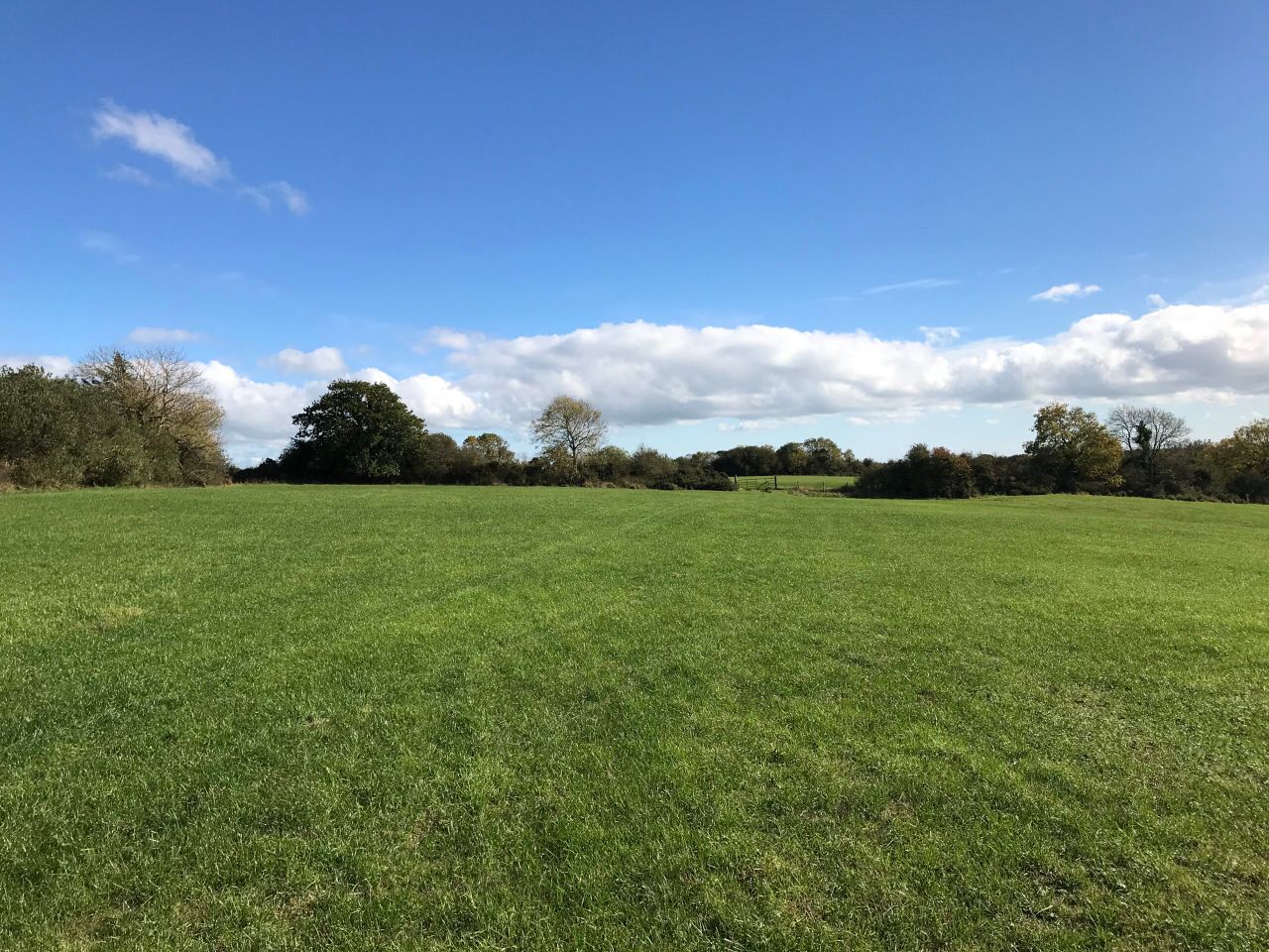 68ac non-residential holding in Tomsilla, Gorey