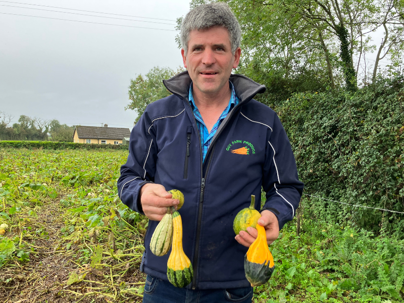 Watch: Produce and pumpkin farm in Meath attracts thousands