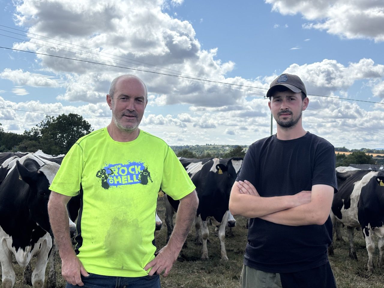 €960 a day to feed a dairy farm: The cost of drought in the south-east