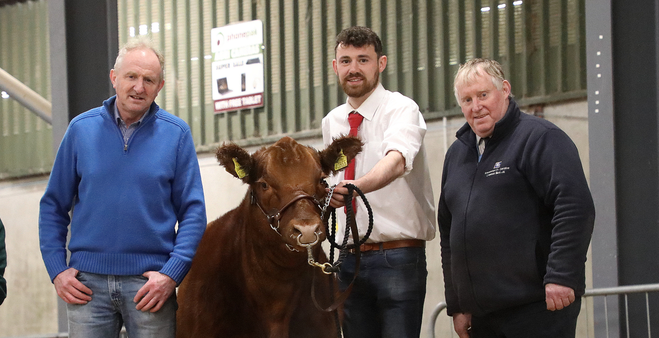 Irish Aberdeen Angus Association appoints new secretary