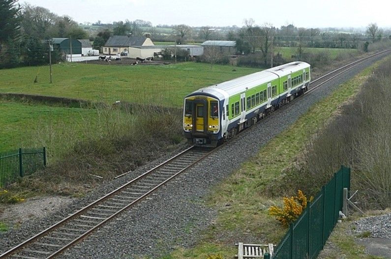 Trains delayed with blocked route due to cattle on line