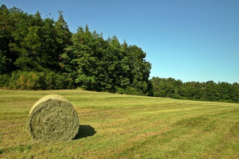 Safety tips for hay bales following 'number of hayshed fires'
