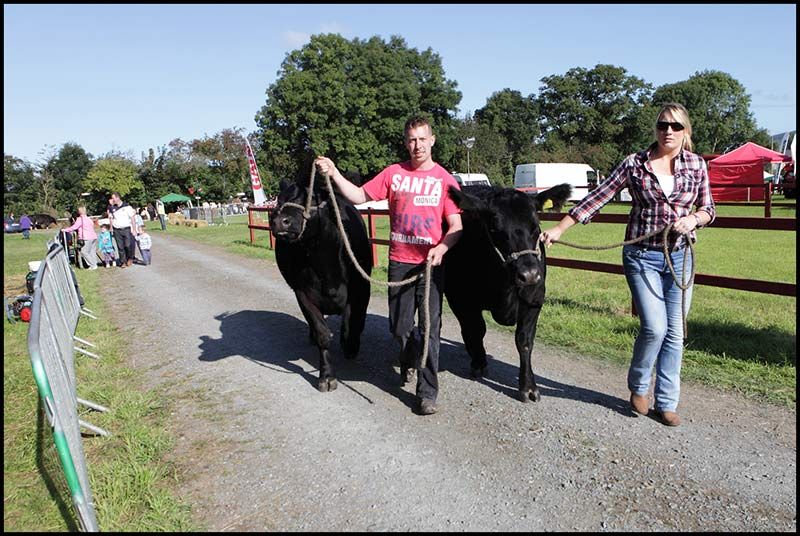 Iverk Show gets set to impress this Saturday