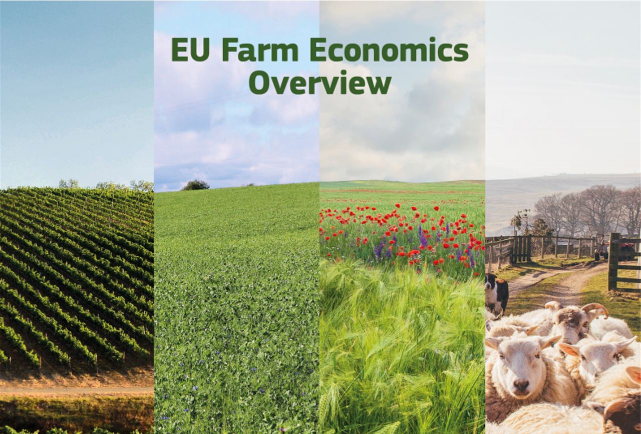 EU farm incomes increase over course of a decade