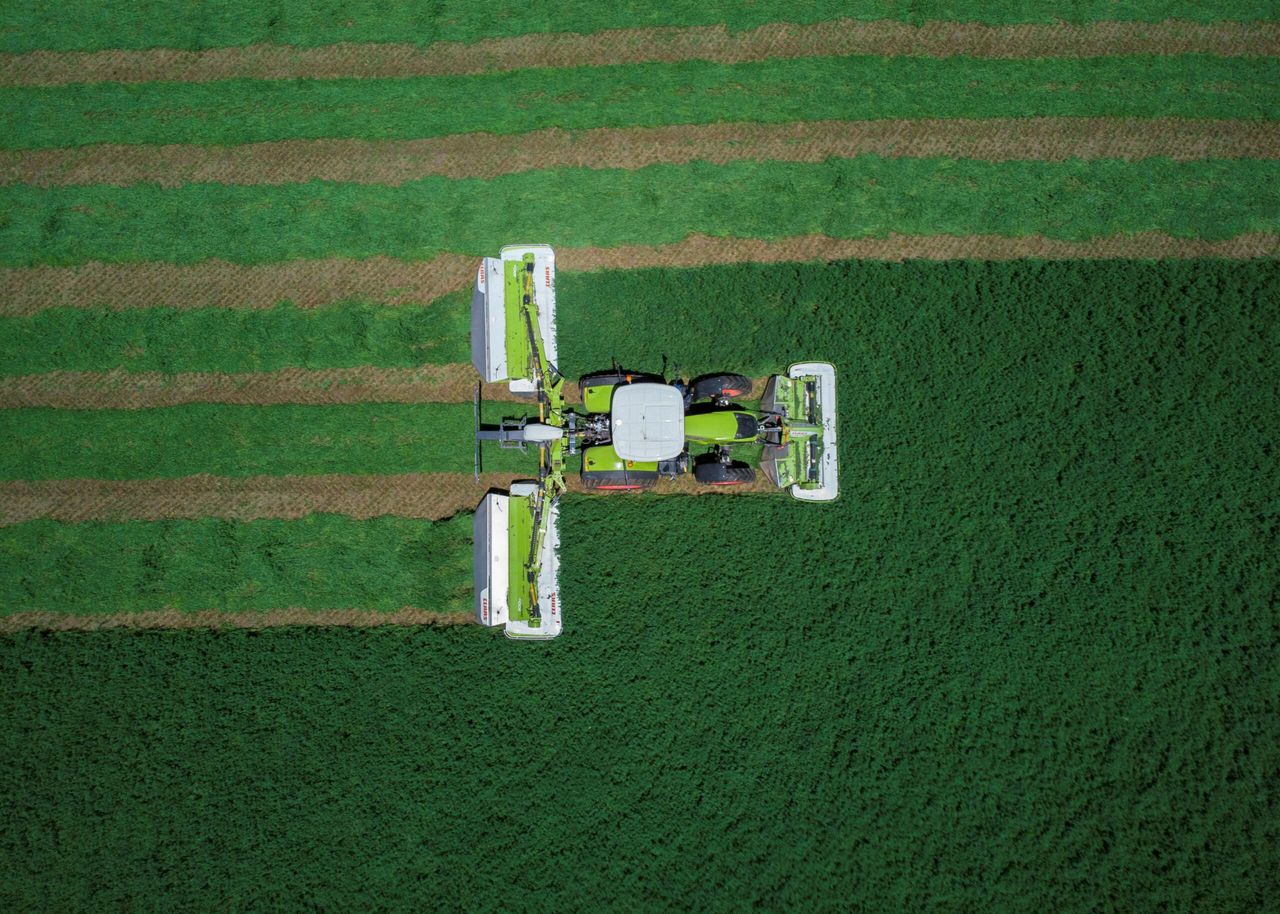New world record for mowing: But who, where and how fast?
