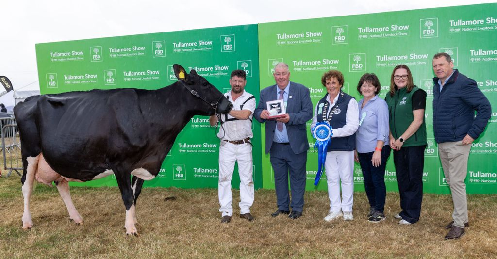 Senior Holstein Friesian reserve champion. Source: Alf Harvey