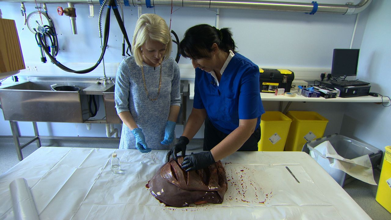 Teagasc liver fluke research to feature on 'The Science Squad'