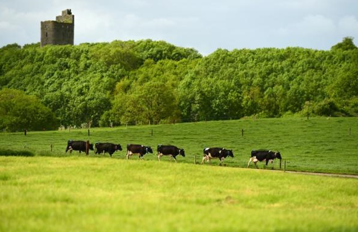 FBD Group invests €6m in new research centre at Moorepark