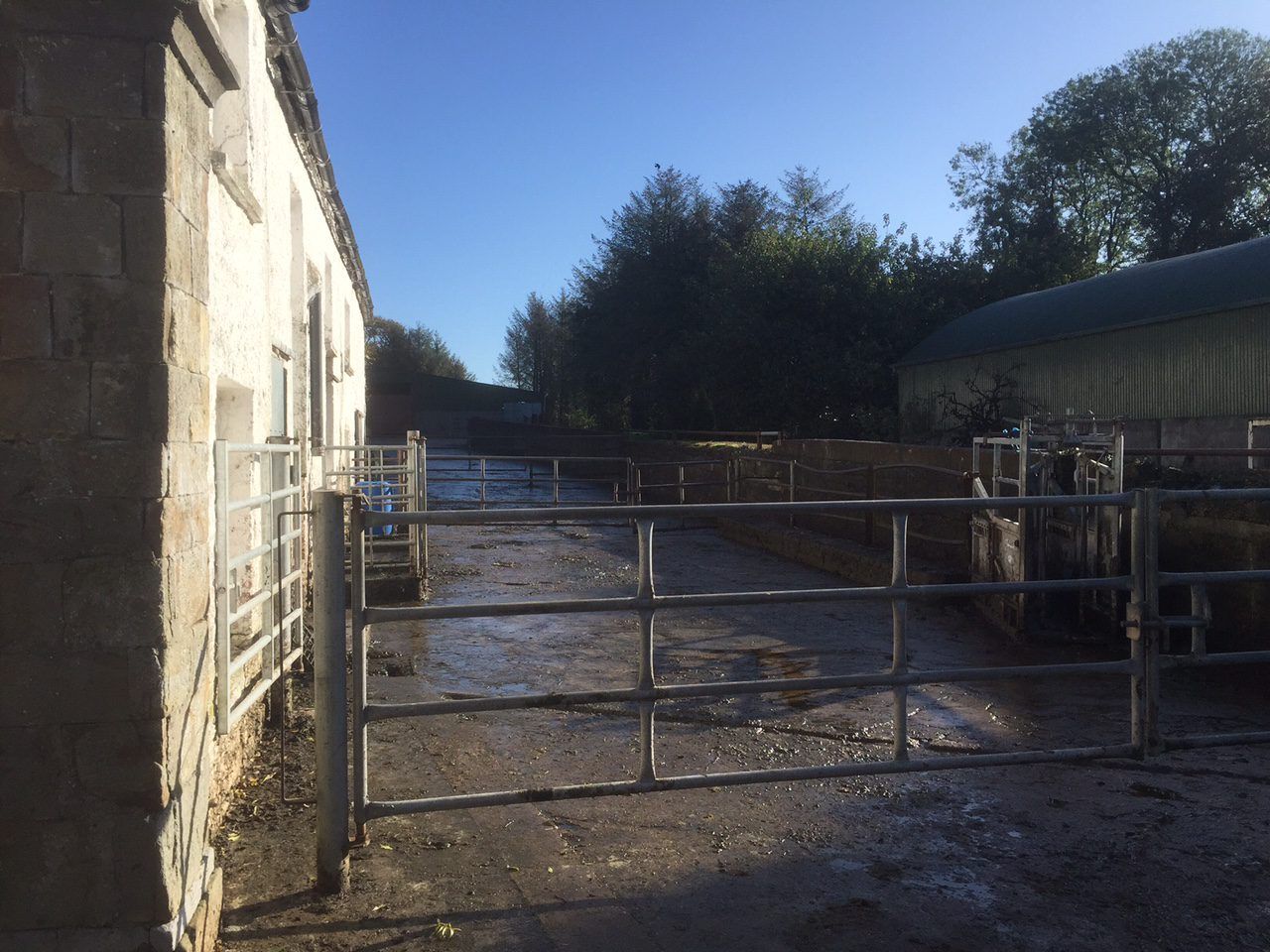 HSA funding for farm safety initiatives cut by over €150,000 for 2016