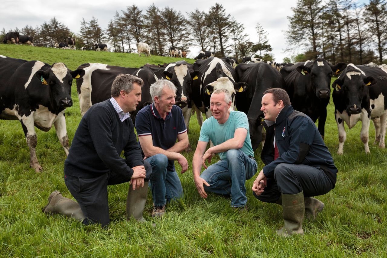 'One third of Ireland's milk is produced on heavy lowland or hilly soils'