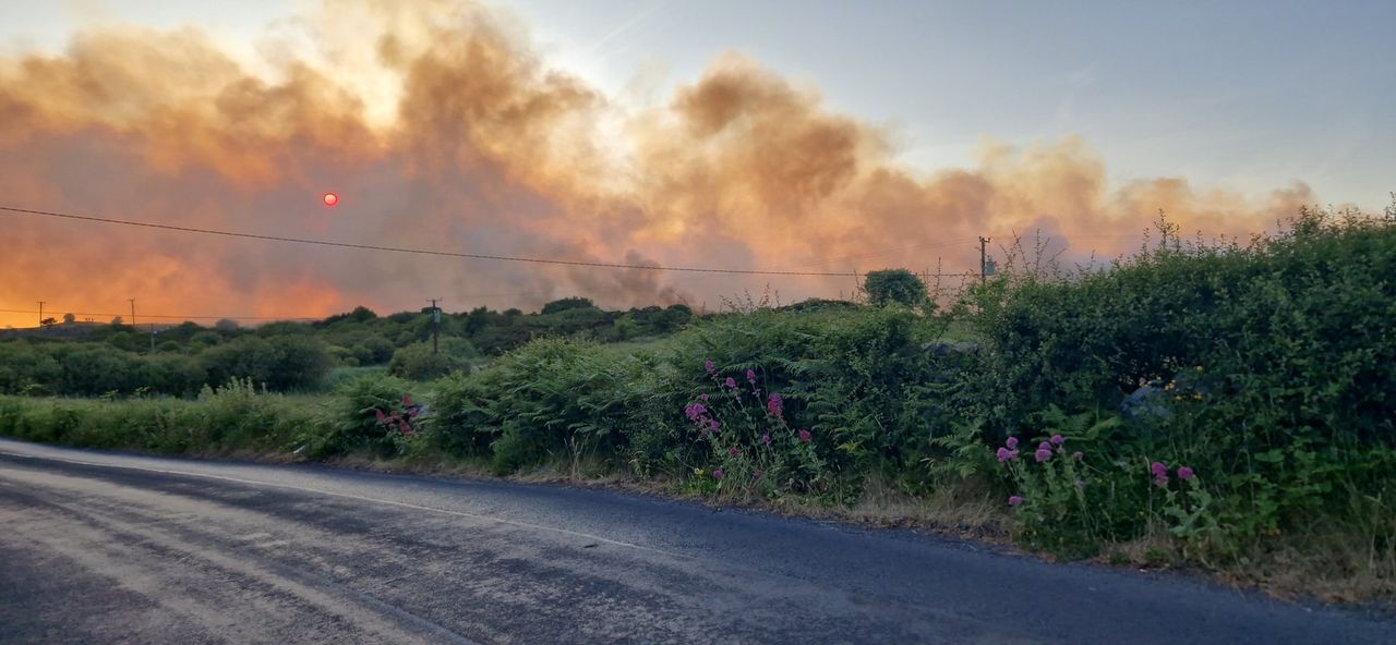 Coillte urges against lighting outdoor fires amid risk warning
