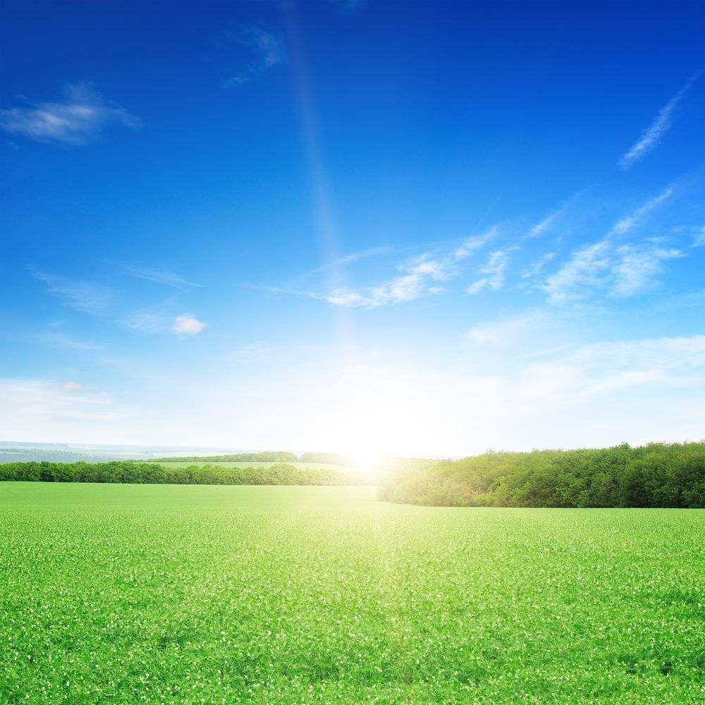 'Maximising grass growth and use is top priority'