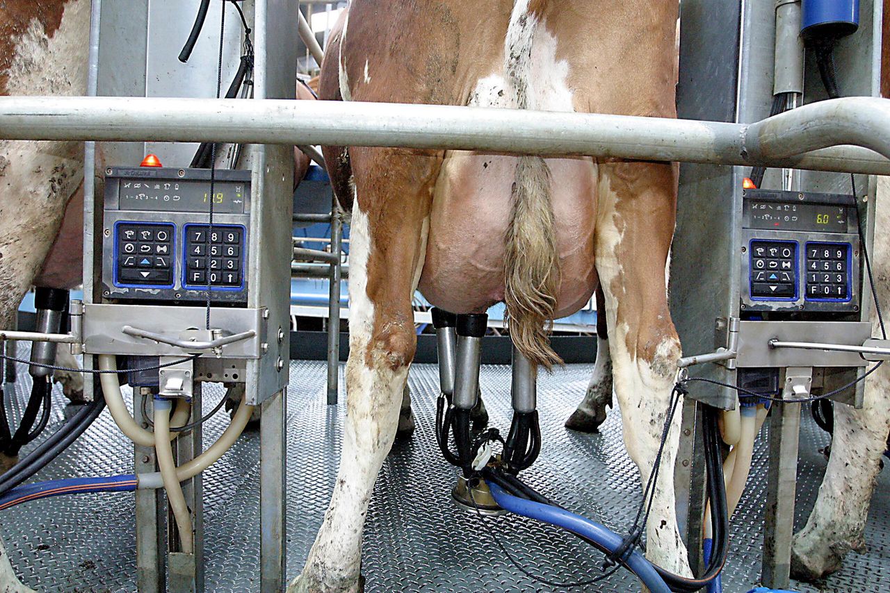 Farm Relief Services highlights critical labour shortage