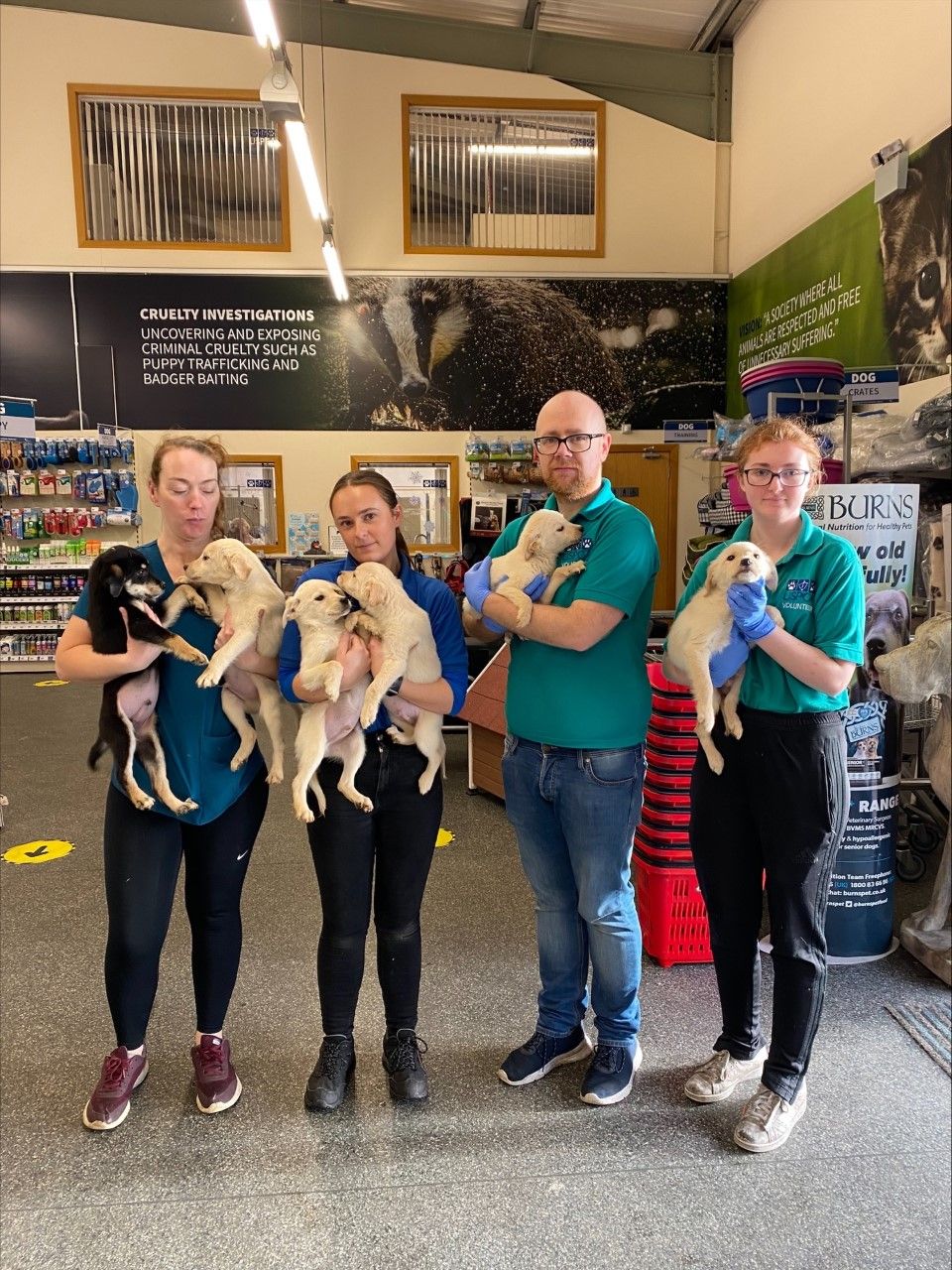 USPCA 'dismayed' as animals are abandoned after Christmas