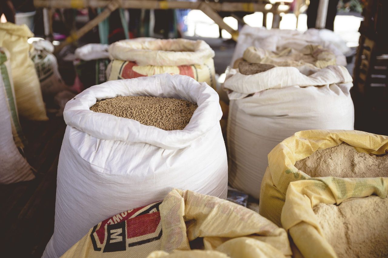 Ireland to commit €35m to UN World Food Programme next year