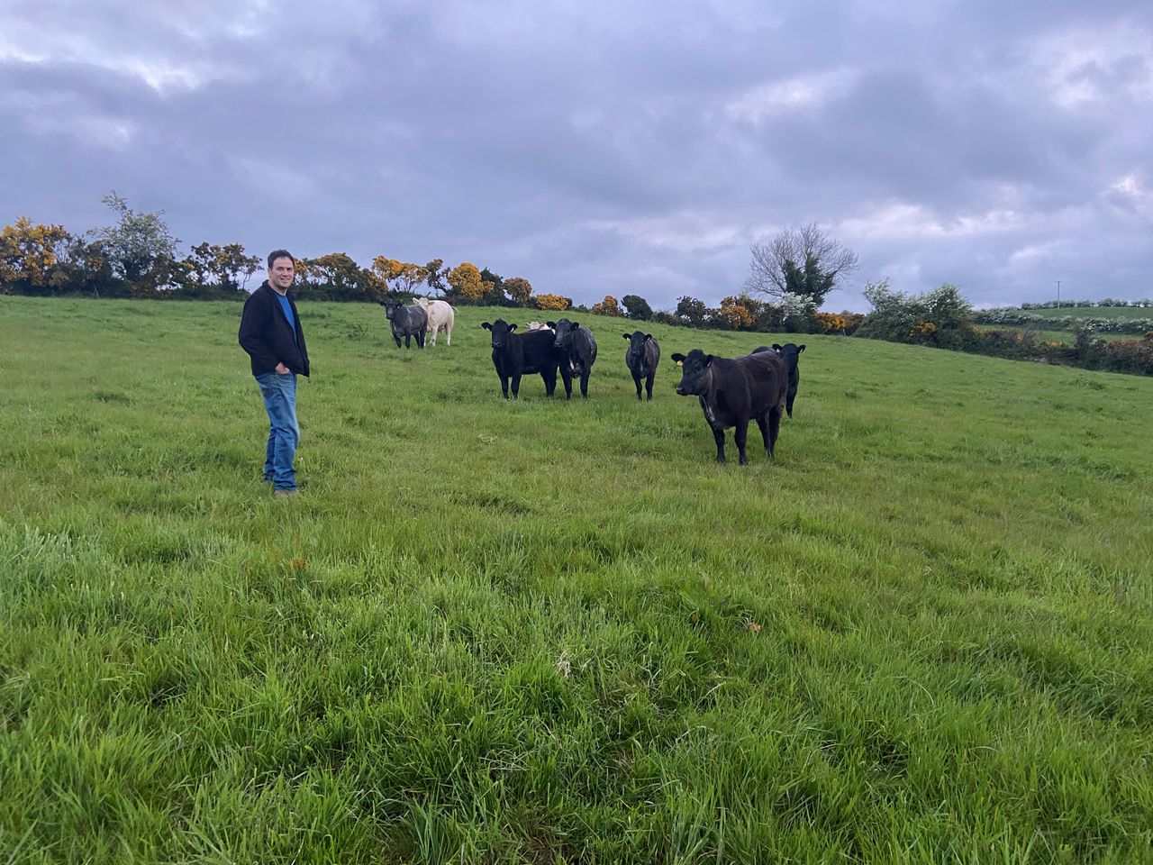 The Keenans begin their journey to organic farming