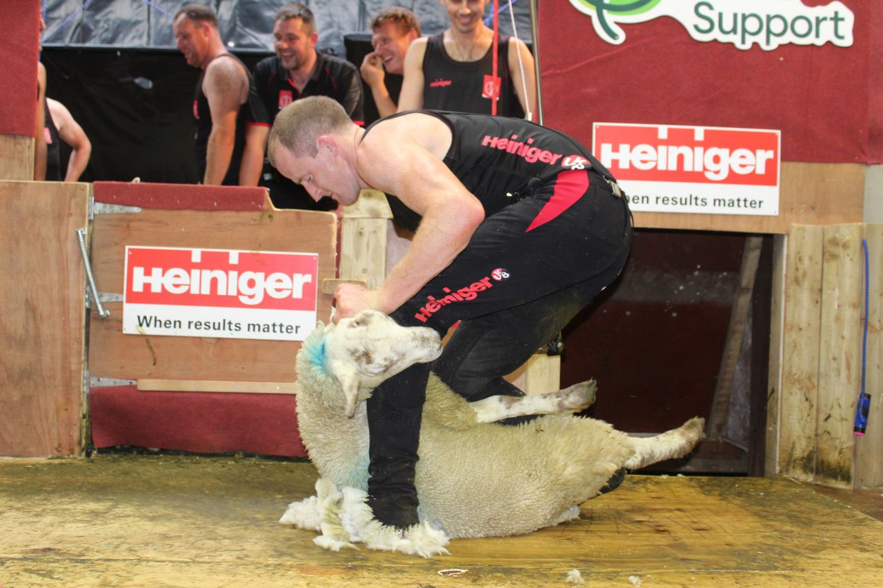 Opinion: Top-level shearers are akin Olympic athletes
