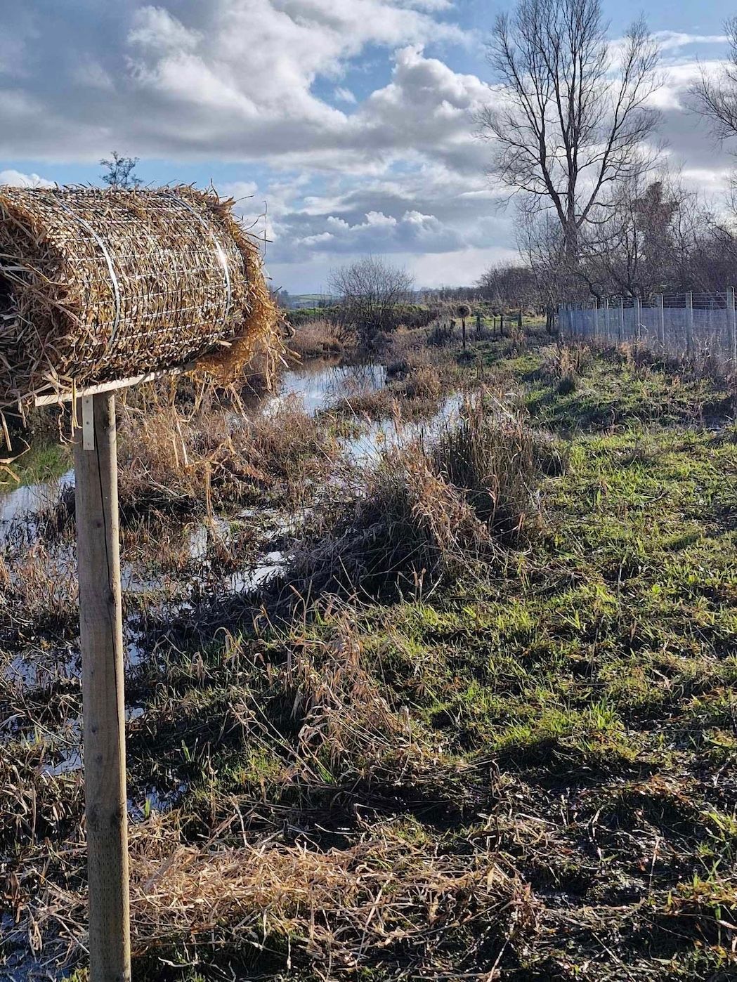 Hunting ban alone can't save declining bird species
