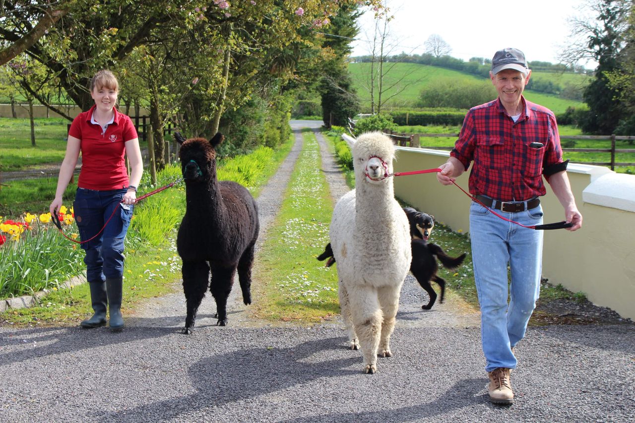 Open days to showcase social farming across the country