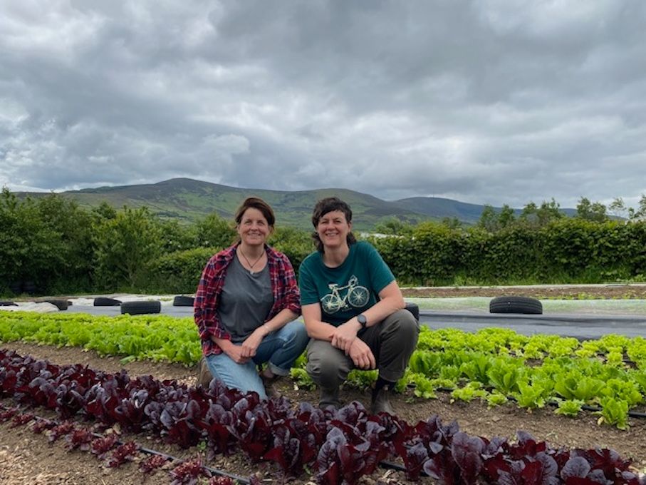 'Small-scale food production will answer a lot of problems' - suppliers