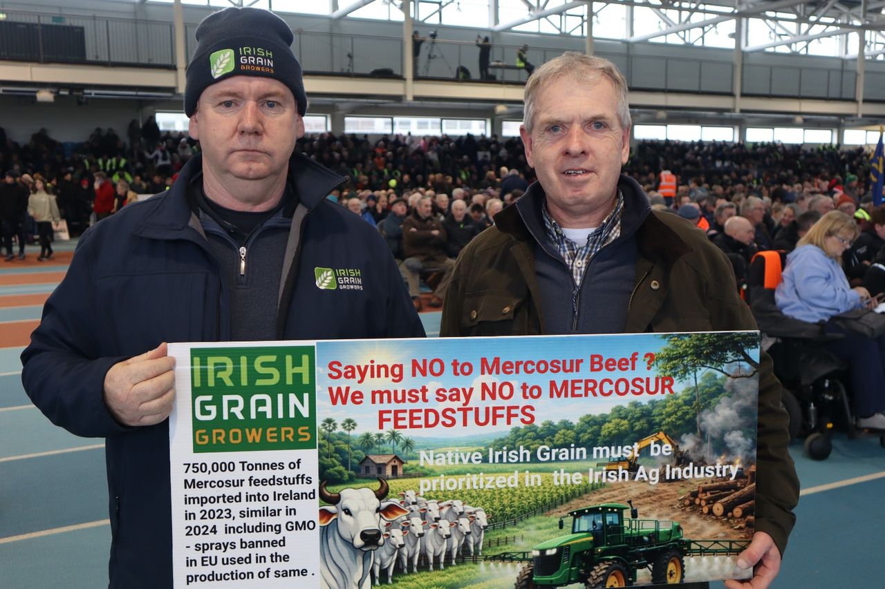 Feed mills urged to clarify Mercosur grain imports at Athlone event
