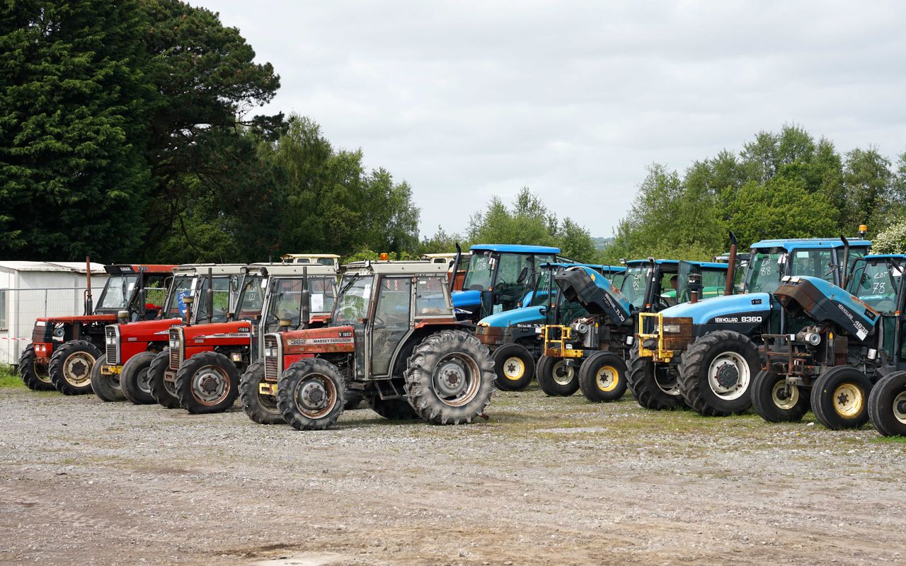 Wilsons Auctions awarded latest Bord na Móna contract