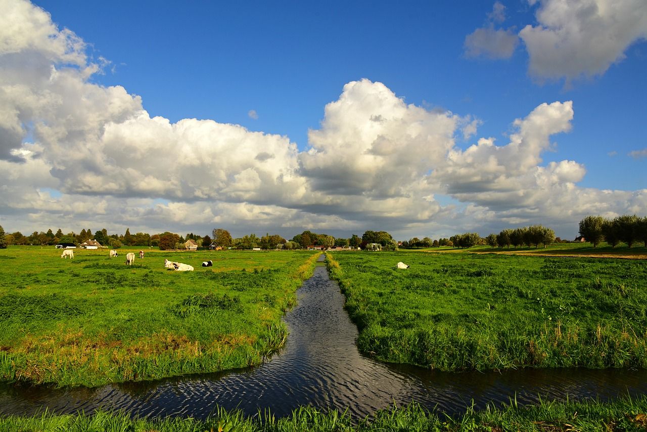 Report: Global ag and fish production to grow 14% by 2034