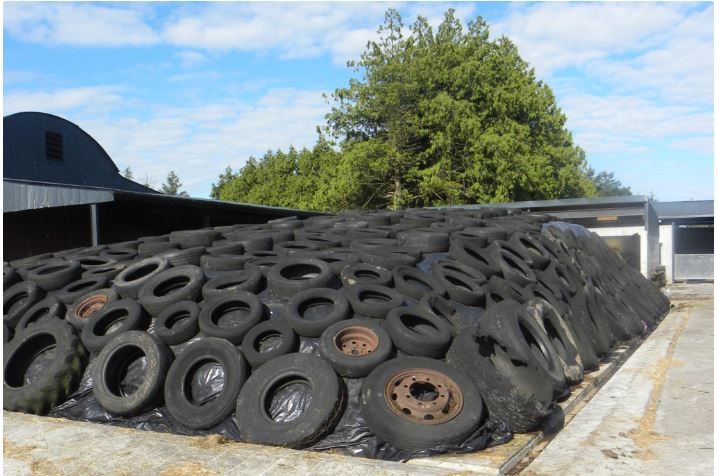Reducing purchased concentrates with improved silage quality