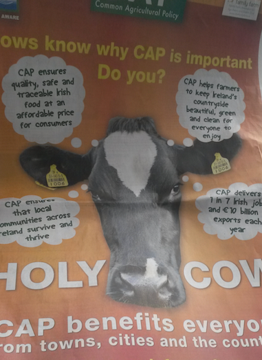 'The CAP is vital to livelihoods rural in Ireland'