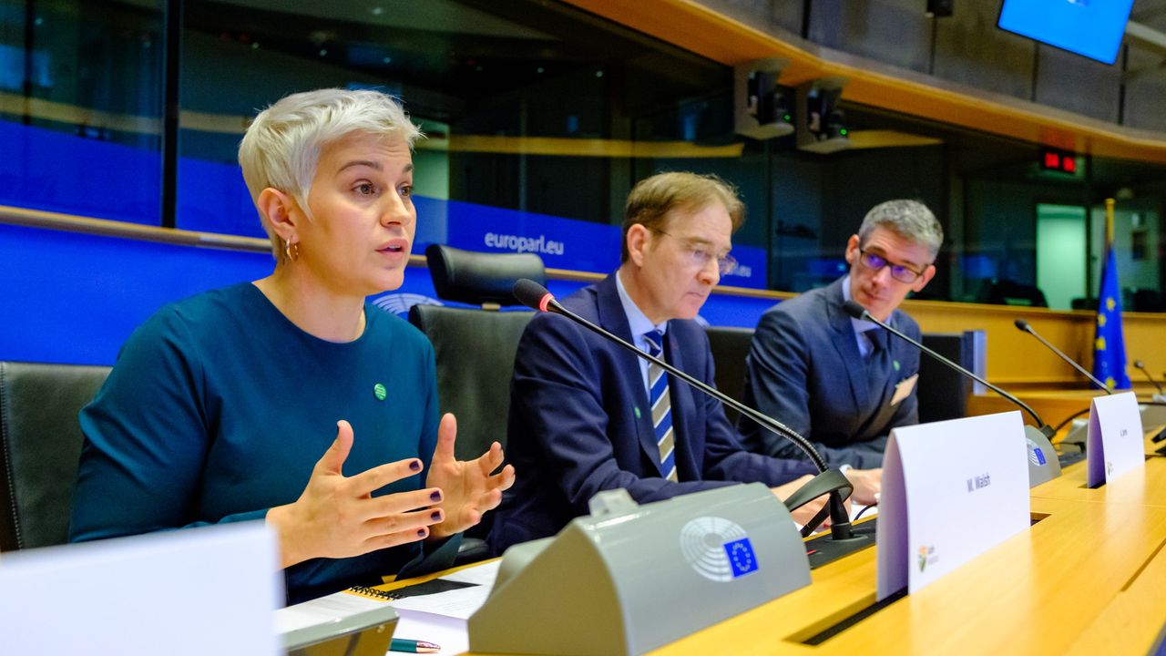 CAP simplification could 'unlock' animal disease funding - MEP