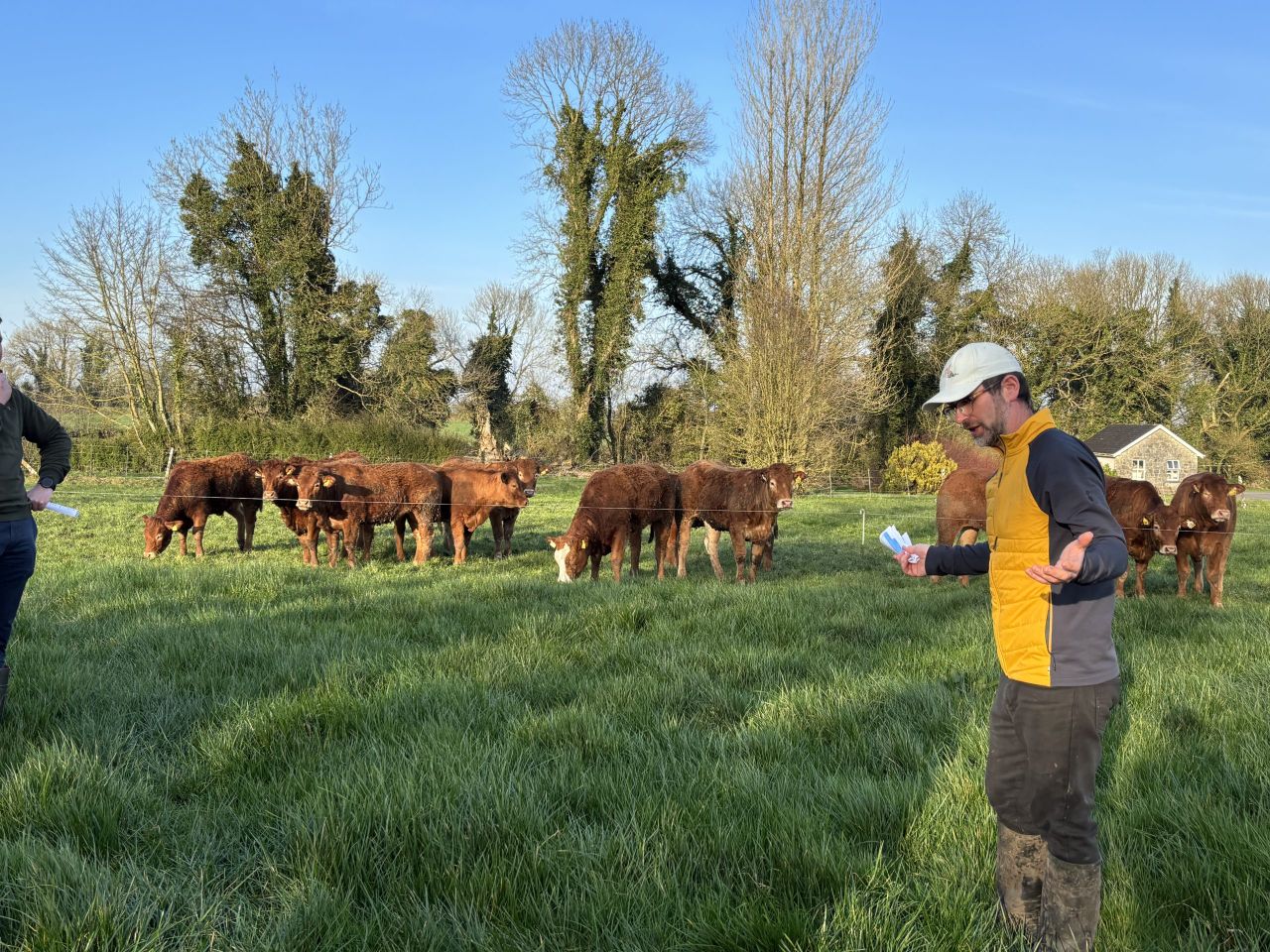 Listen: Specialist breeding heifer business in Roscommon