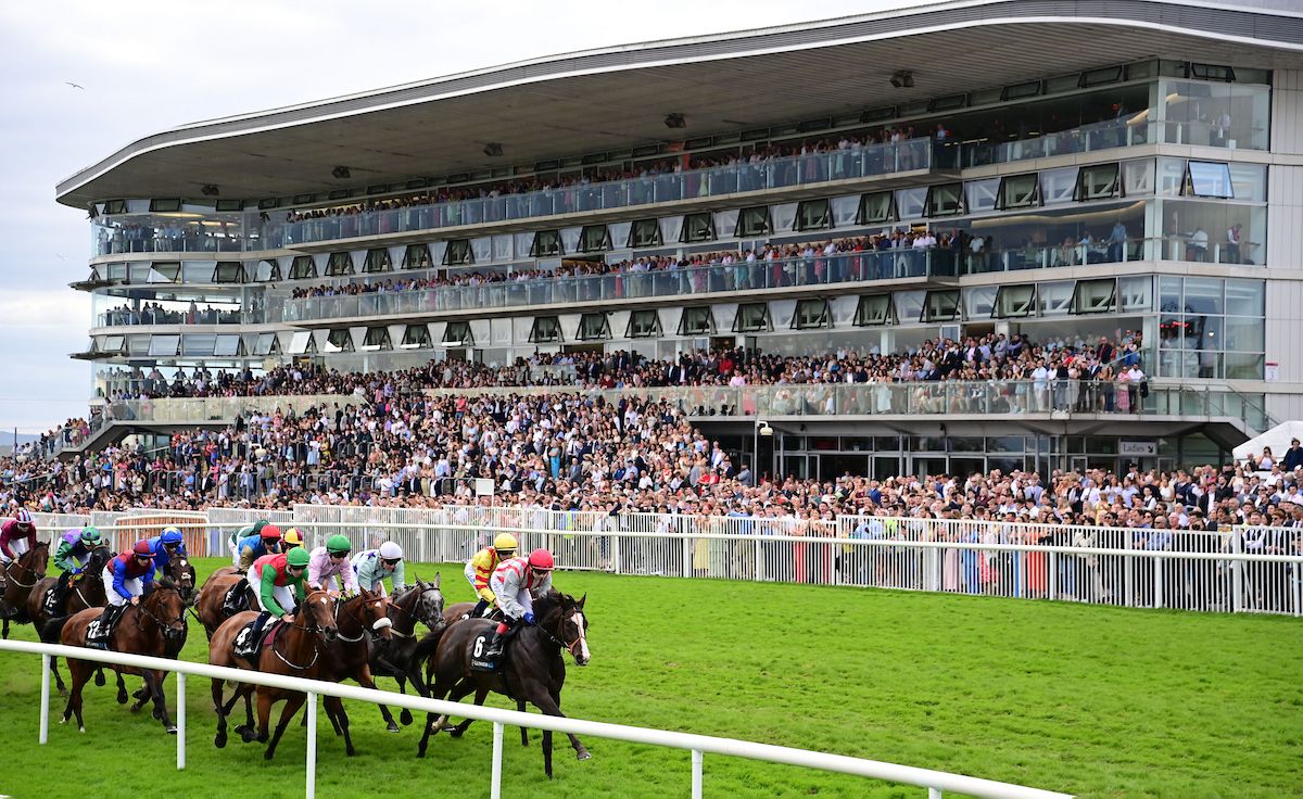 Galway Races are just around the corner - will farmers take a break?