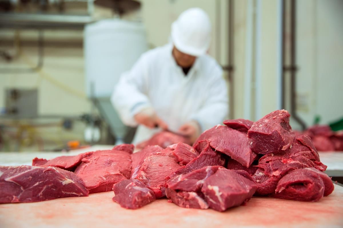 'Unfit' meat from Polish abattoir recalled from 12 countries