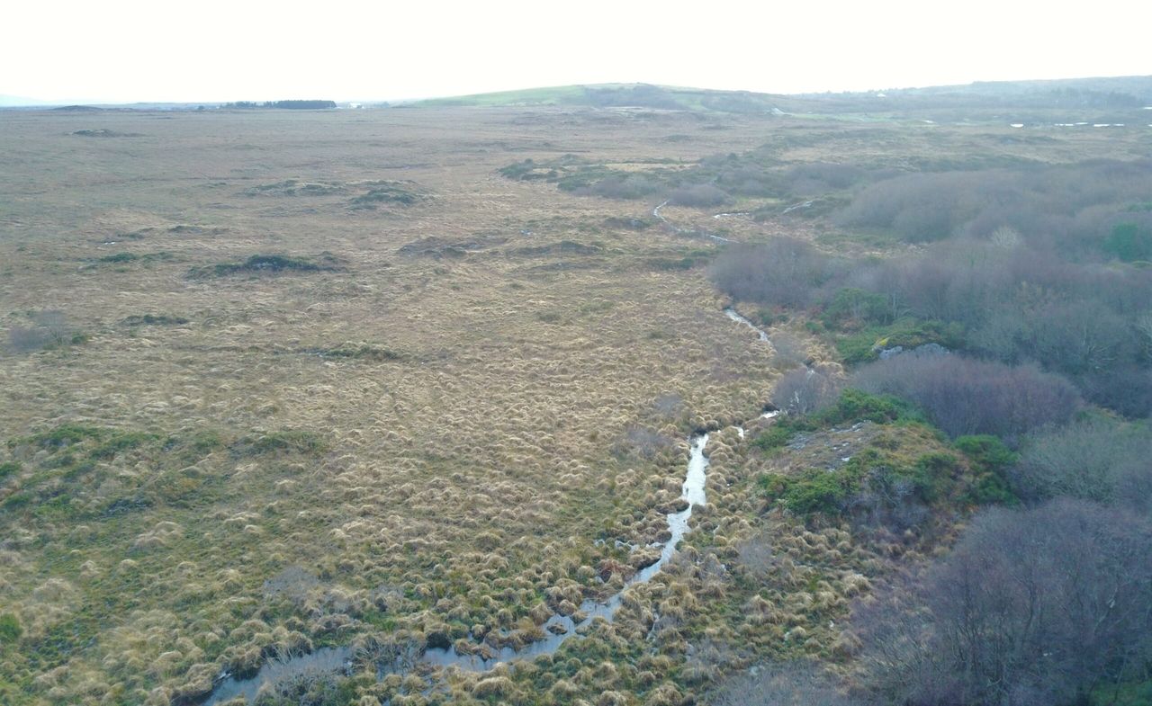 138ac with grazing land potential for sale at €978/ac in Co. Galway
