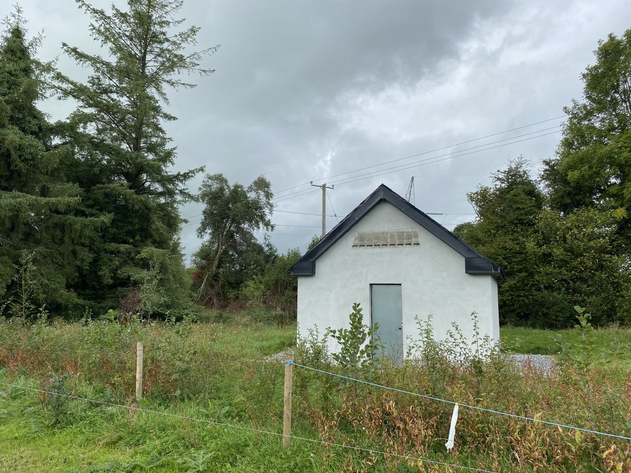EirGrid and ESB build new bat roost after farmhouse demolished
