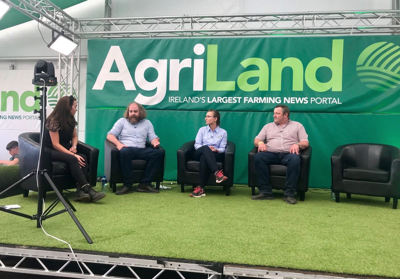 'We're warning dairy farmers about the volume of bull calves this spring' - Teagasc